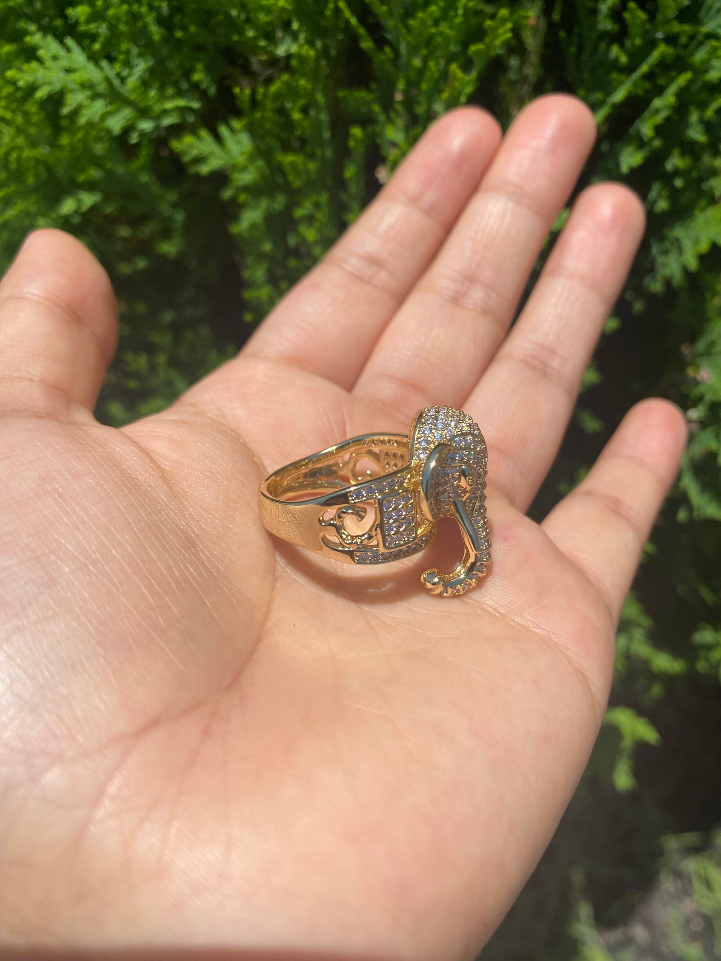Elefante anillo