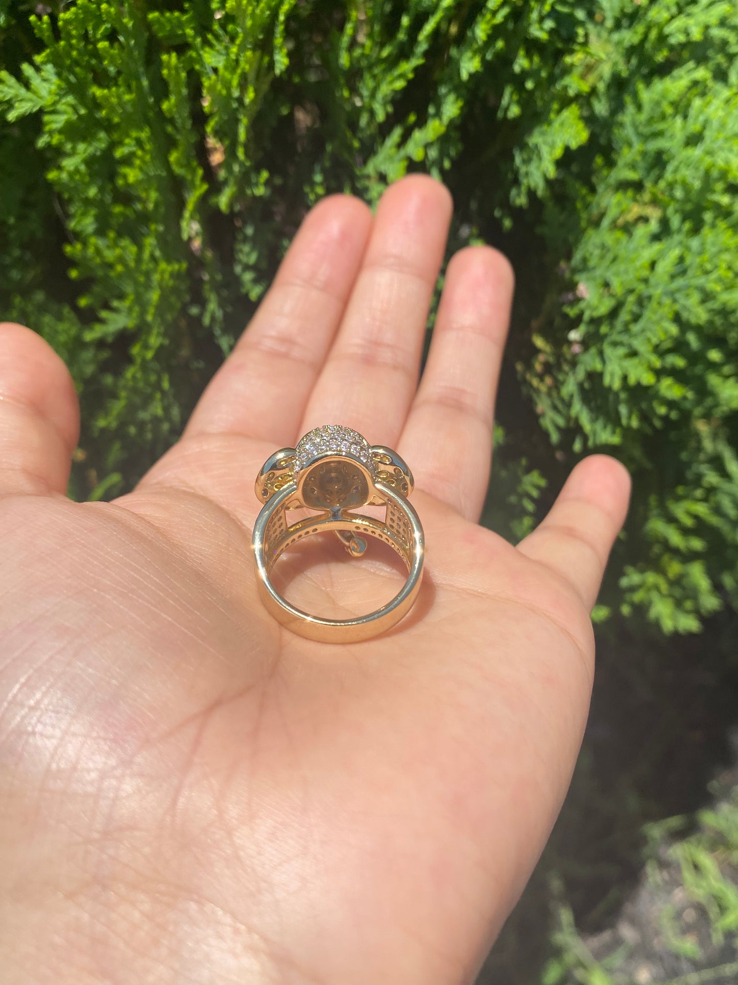 Elefante anillo
